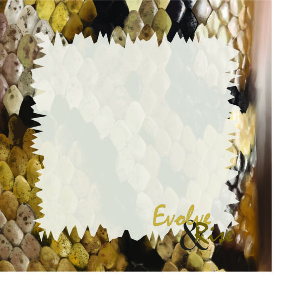 Illustrated sticky notes – Collection Animale – 3x3 format
