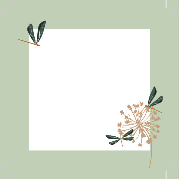 Illustrated sticky notes – Douceur Collection – 3x3 format