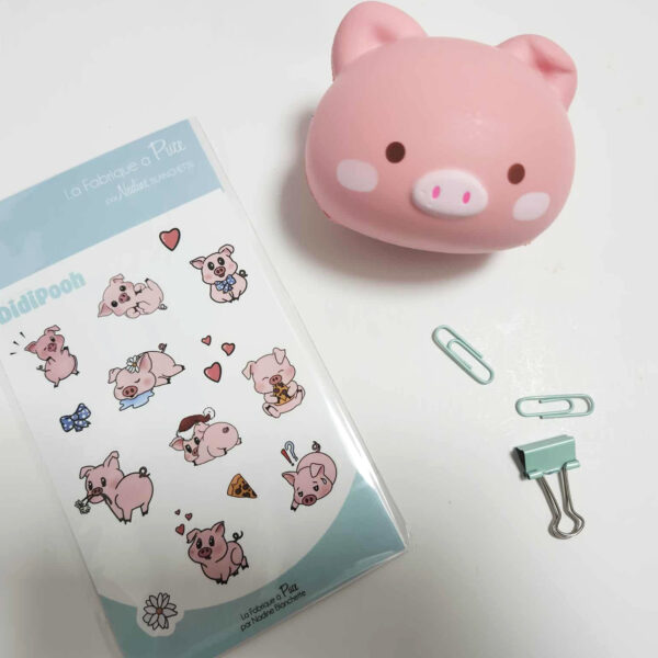 Feuille d’autocollants cochons mignons 4 x 6 po avec illustrations adorables pour enfants et jeunes, photo avec figurine cochon
